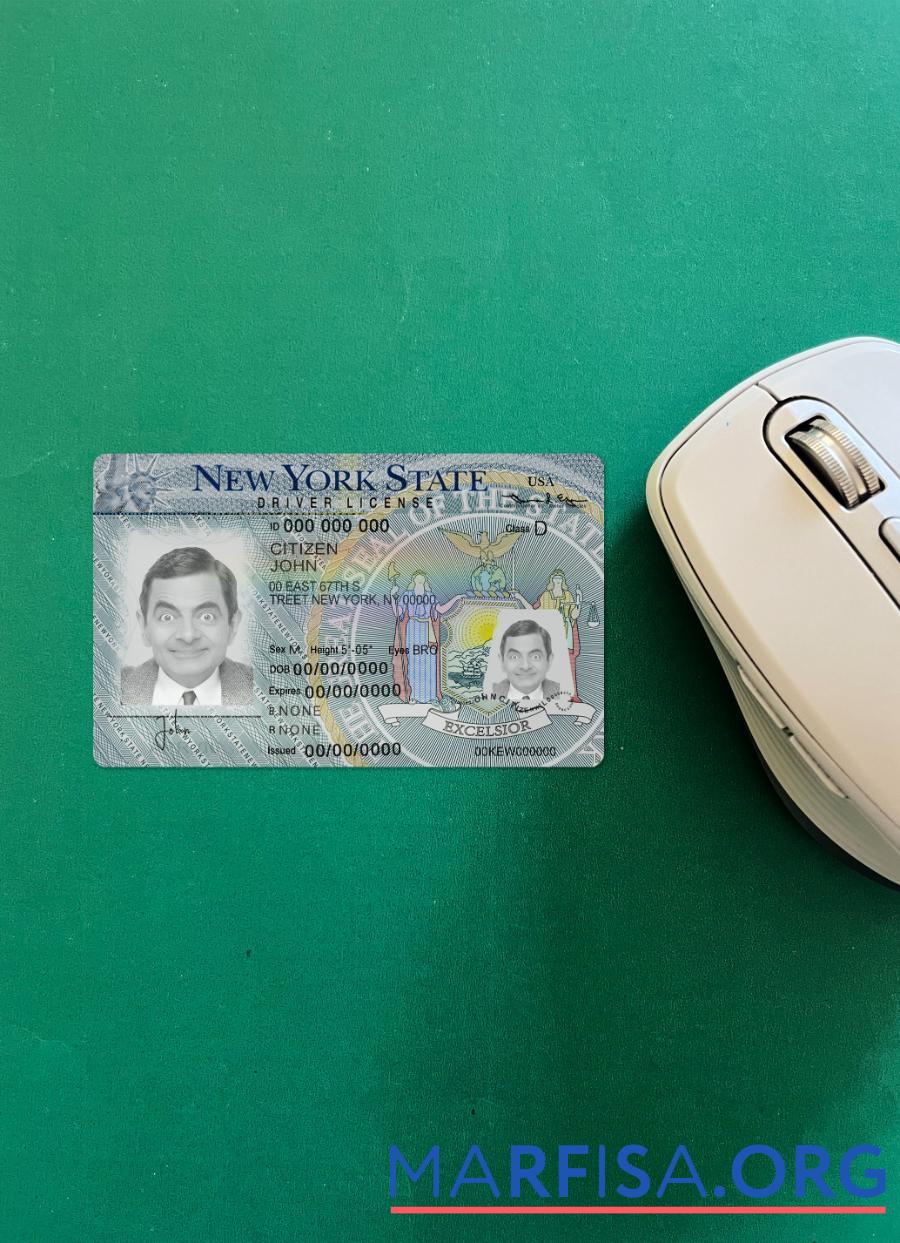Blank New York driving license version 2 photolook sample